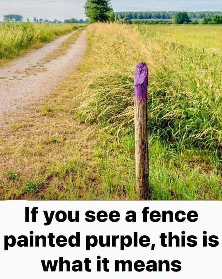 If You See A Fence Painted Purple