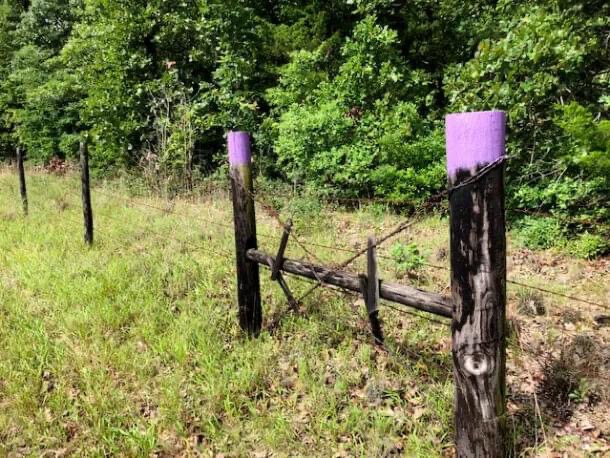 If you see a purple fence post, you need to know what it means