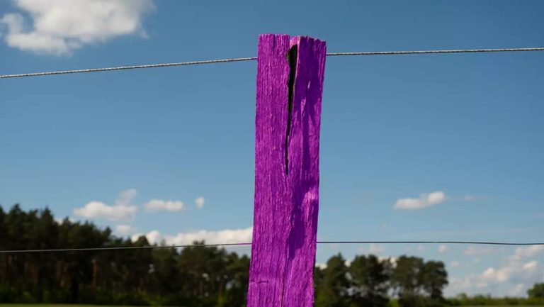 If You See A Purple Fence Post, Turn Around And Stay Away