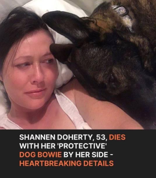 ‘Charmed’ & ‘Beverly Hills 90210’ Star Shannen Doherty, 53, Dies: Tragic Details