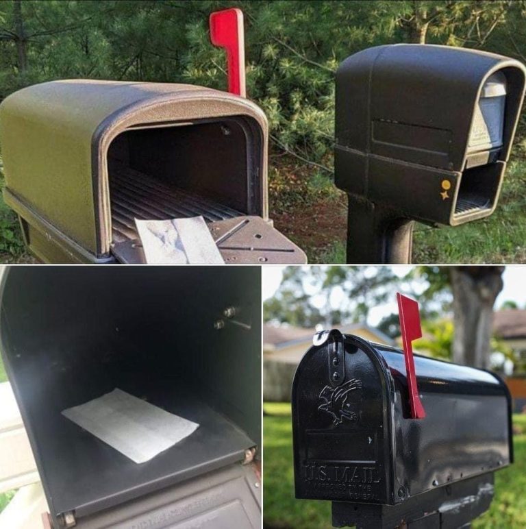 Keeping Wasps Away from Mailboxes: A Simple Solution