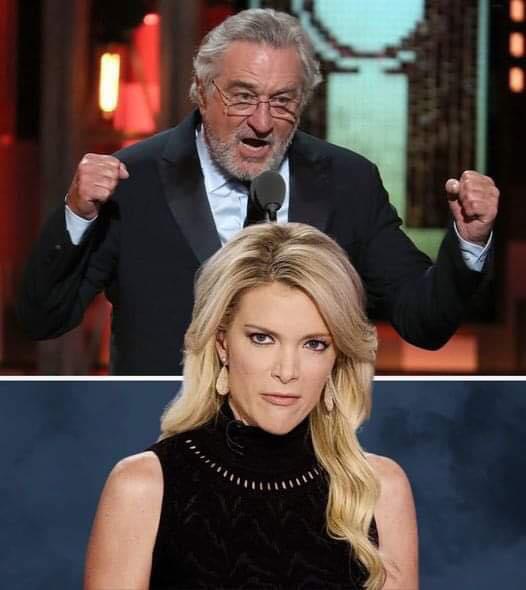 Megyn Kelly openly ‘blast’ Robert De Niro: “He is colossally stupid”