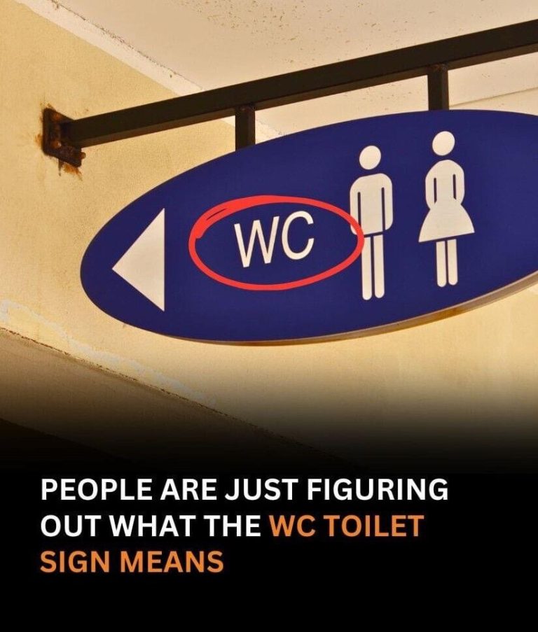 People Are Only Now Figuring Out What The WC Toilet Sign Means