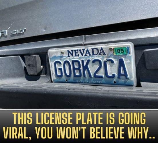 This License Plate Is Going Viral