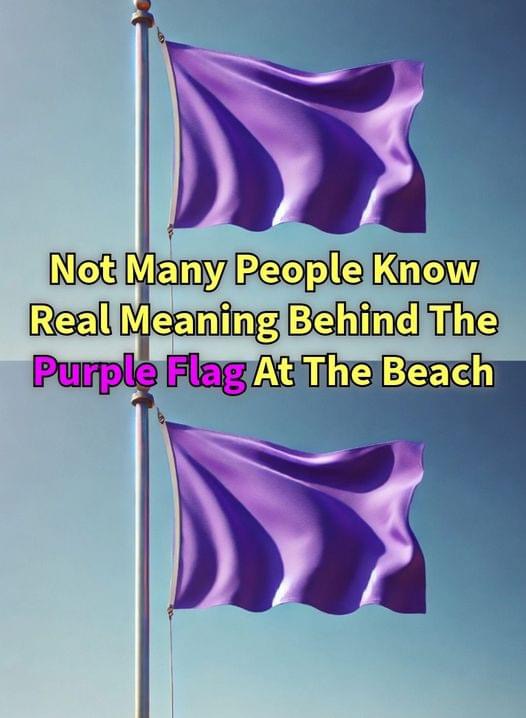 The lifeguards suddenly put up the purple flag