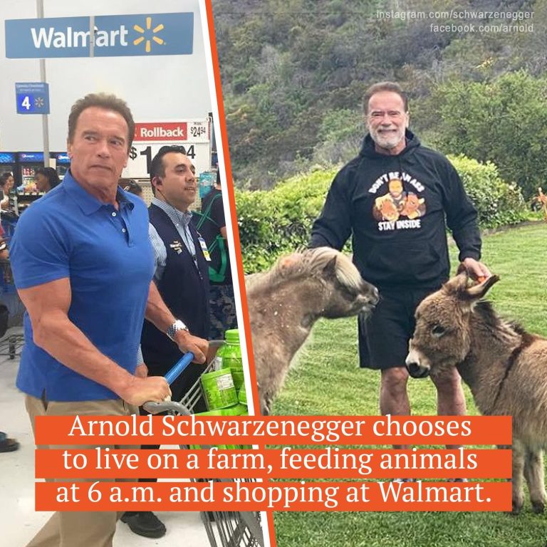 Money can’t buy true happiness, so despite a $400 million fortune, Arnold Schwarzenegger lives a low-key life on his farm.