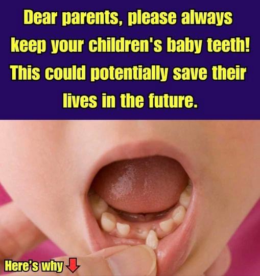 Scientists Are Encouraging Parents To Keep Their Kids’ Baby Teeth