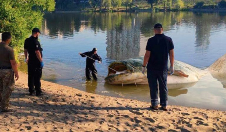 Fisherman catches huge fish – but