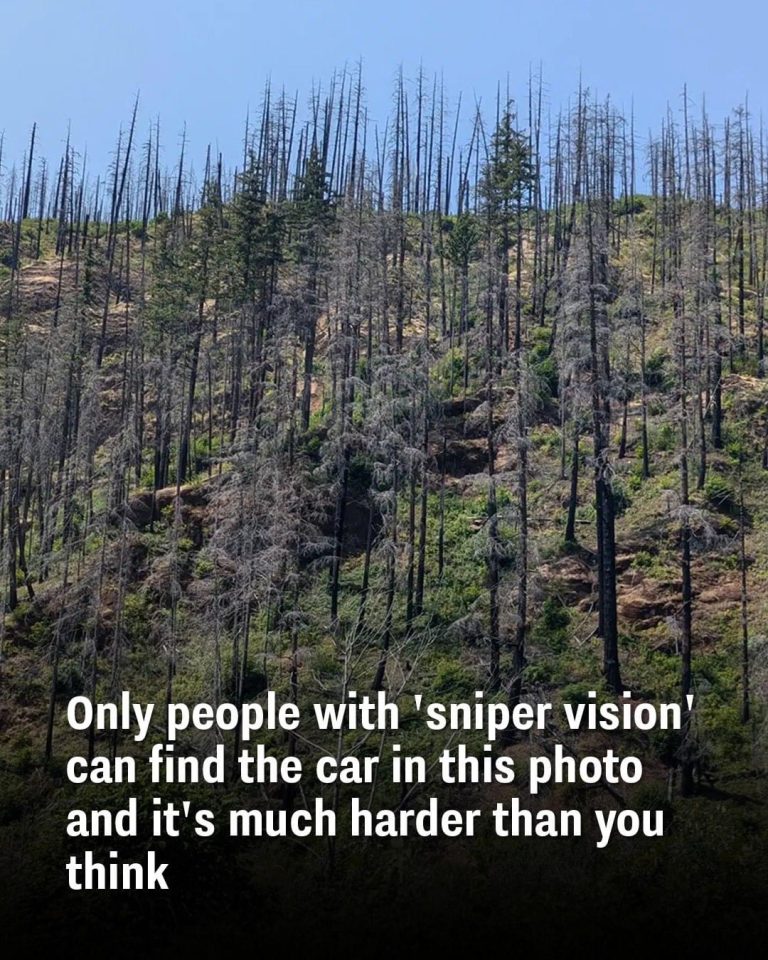 Only people with ‘sniper vision’