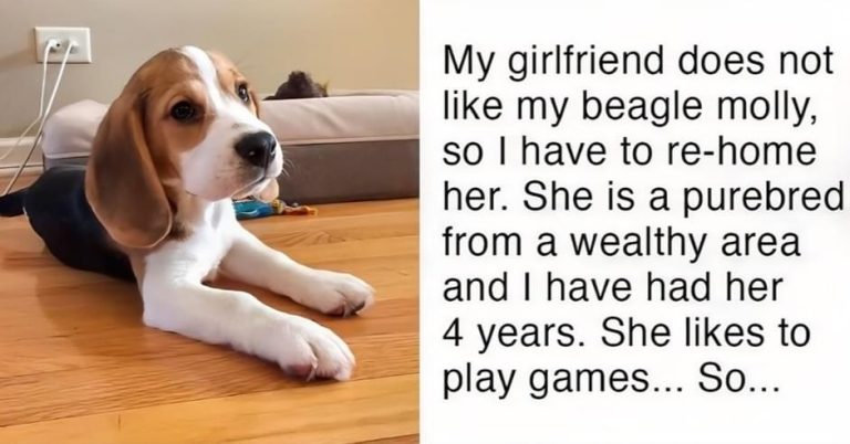 Man’s girlfriend gives him ultimatum, either the dog goes or she goes