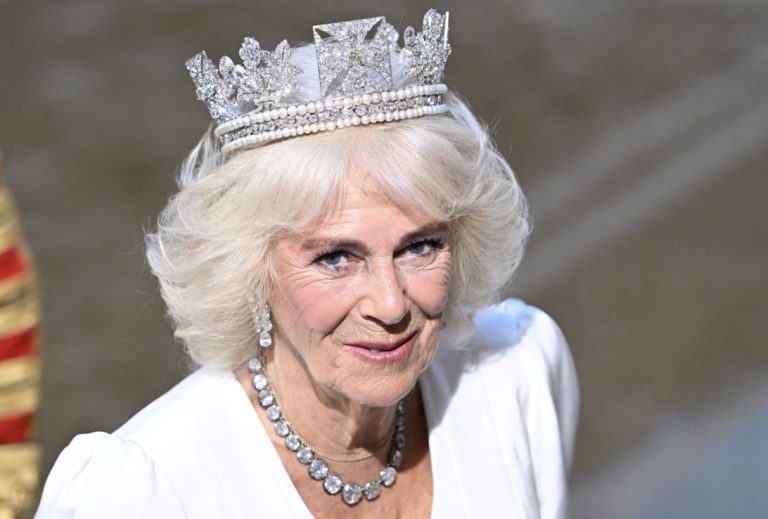 Queen Camilla Falls Ill, Cancels