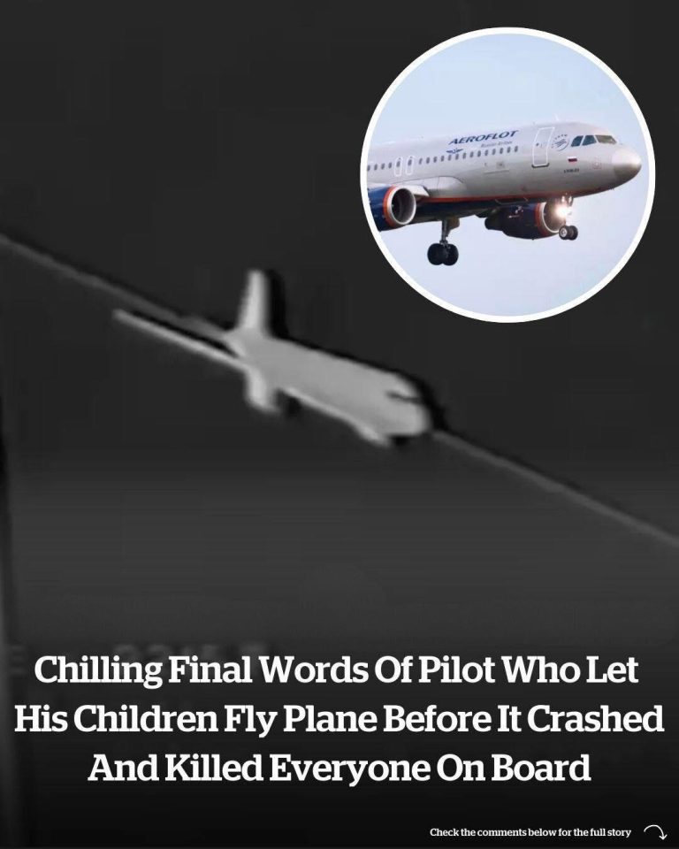 The Pilot’s Haunting Last Words Before The Plane Cr