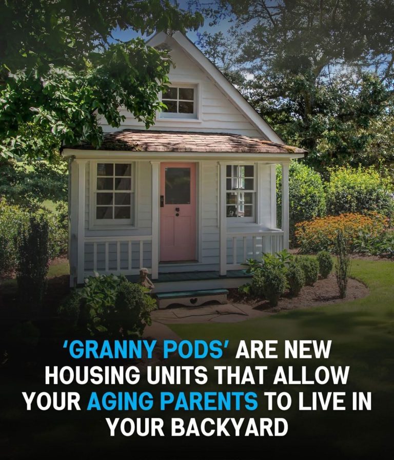 Granny Pods For Your Aging