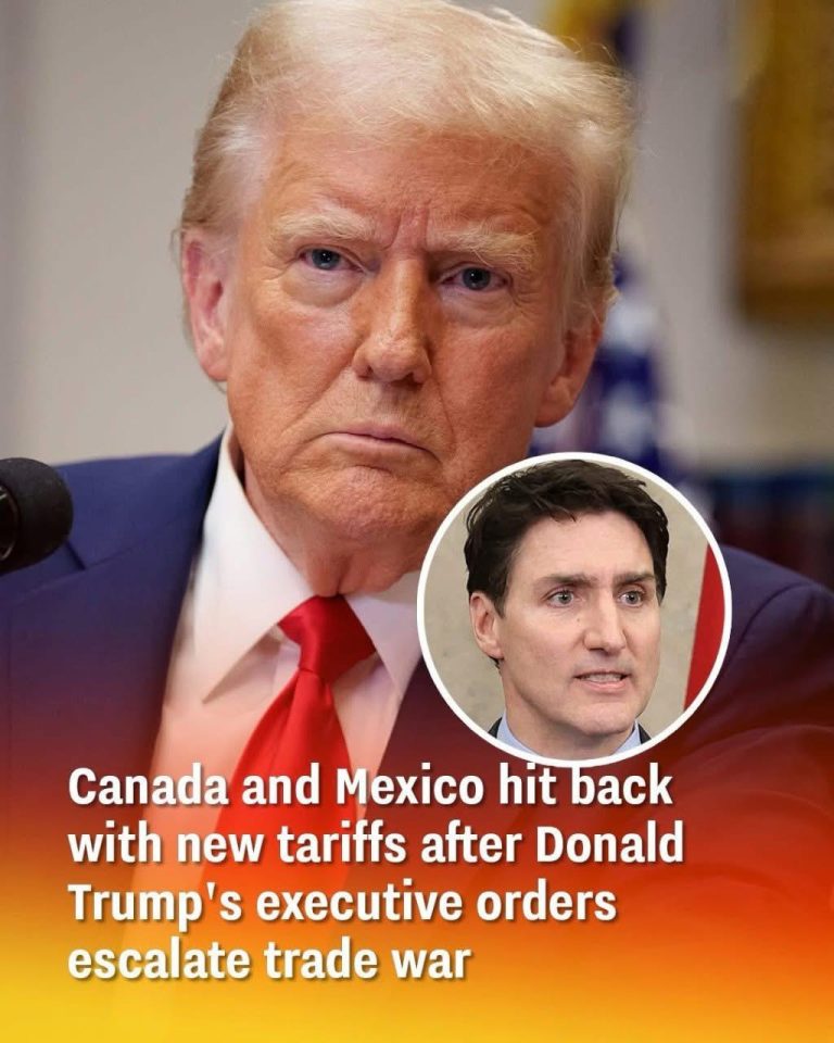 Canada And Mexico Responded By Imposing New Taxes After