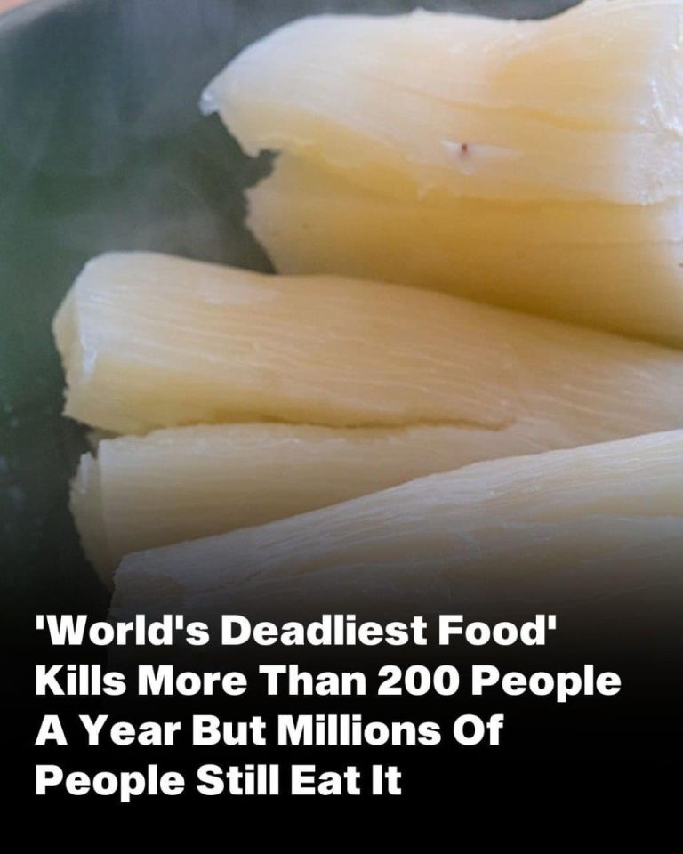 Off The Record Over 200 People Are…, But Almost 500 Million People Still Eat It