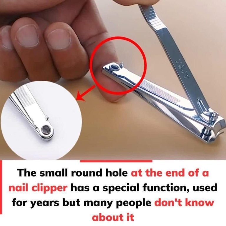 The small, round hole on a nail clipper…