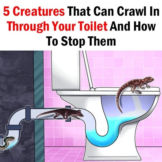 5 Creatures That Can Crawl In