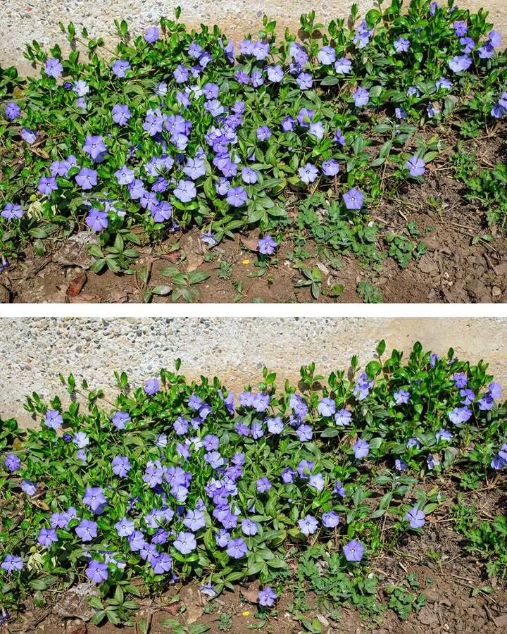 Most people are clueless about its power. This is more