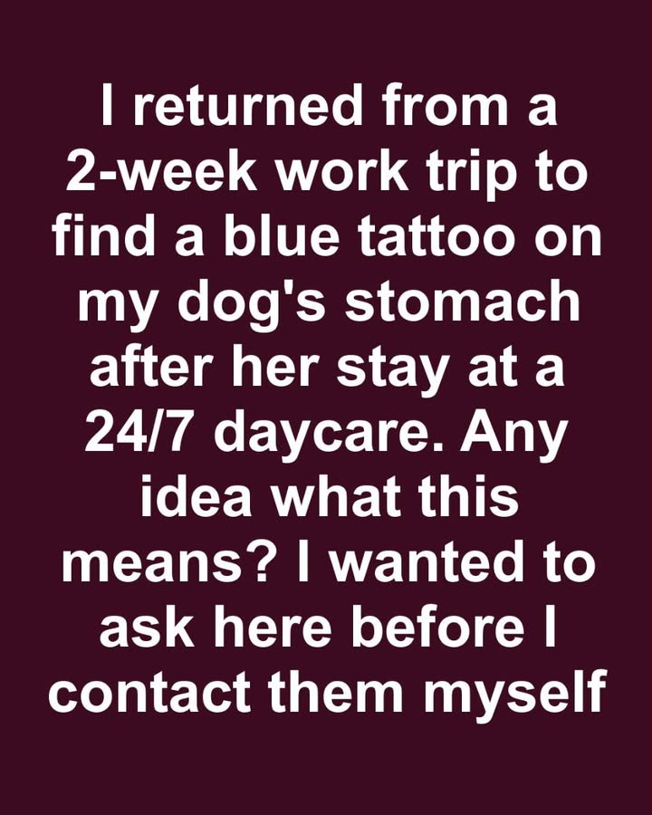 Exploring Pet Tattoos: Popular Trends and