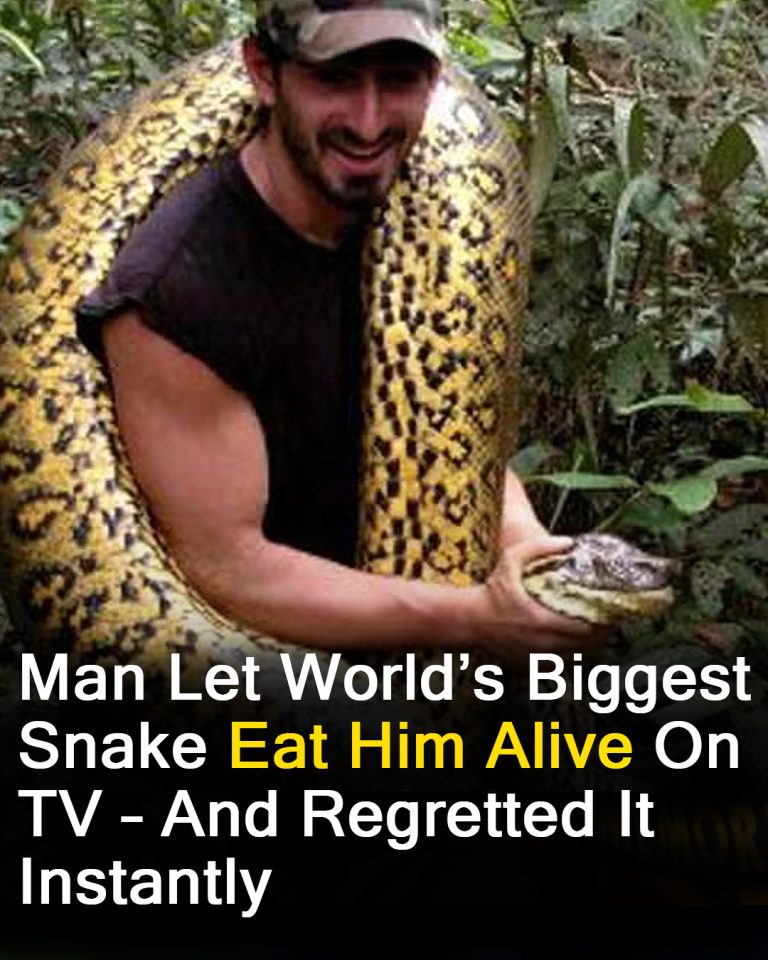 Man tried to get eaten alive by snake – instantly regretted