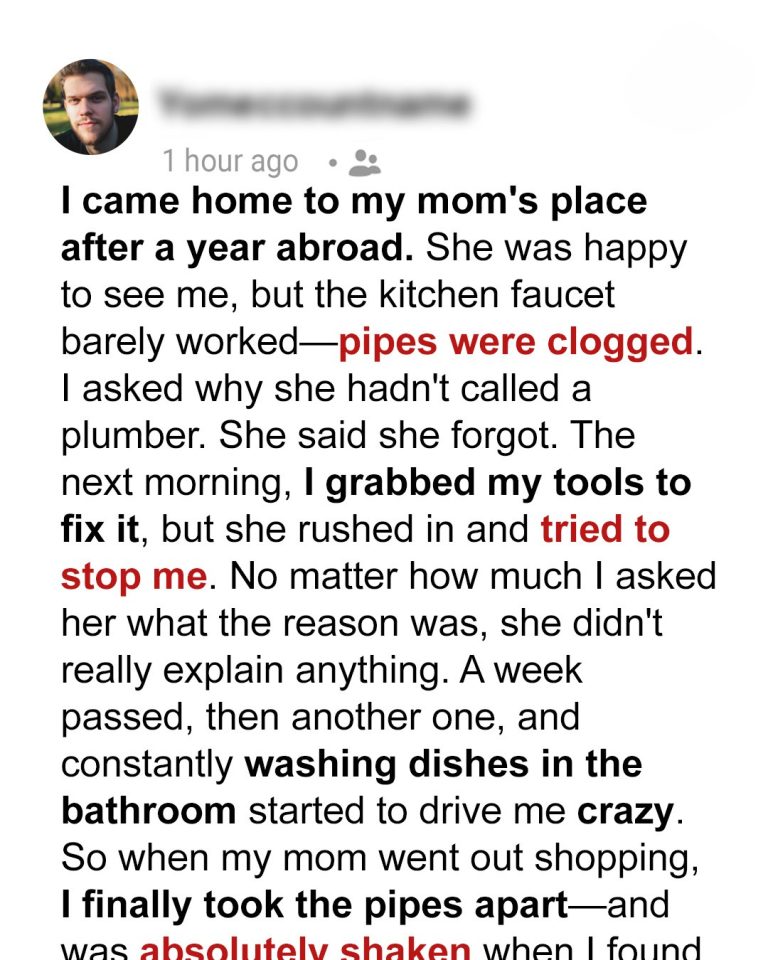 My Mom Refused to Let Me Fix the Clogged Kitchen Sink
