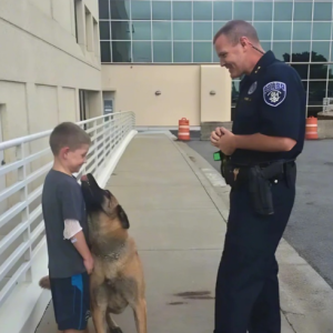 A Little Boy Hugged My K9 Partner — Then Told Me