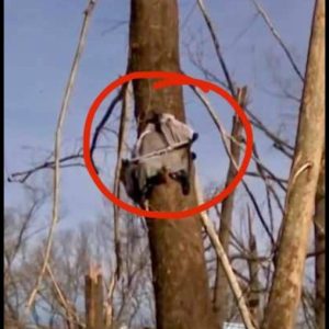 If This Is Not A Miracle, I Don’t Know What Is