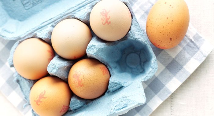 SHE STOLE EGGS FOR HER KIDS—THEN THE COPS