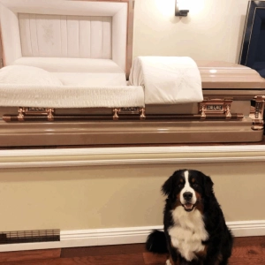 Dog Barks at Coffin during