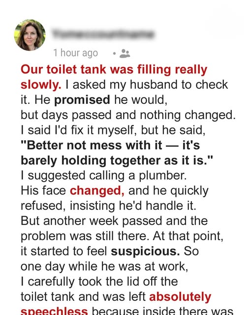 My Husband Ignored the Toilet Problem for W