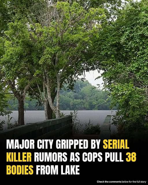 Serial k .iller fears rise as three dozen bodies