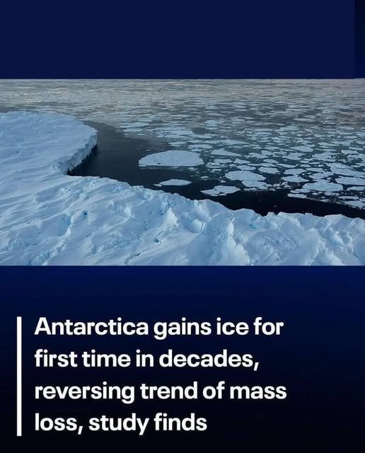 Antarctica sees first ice gain in decade