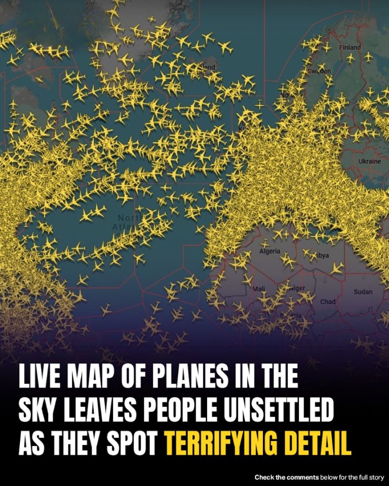 Live Plane Map Reveals Eerie, Skull-