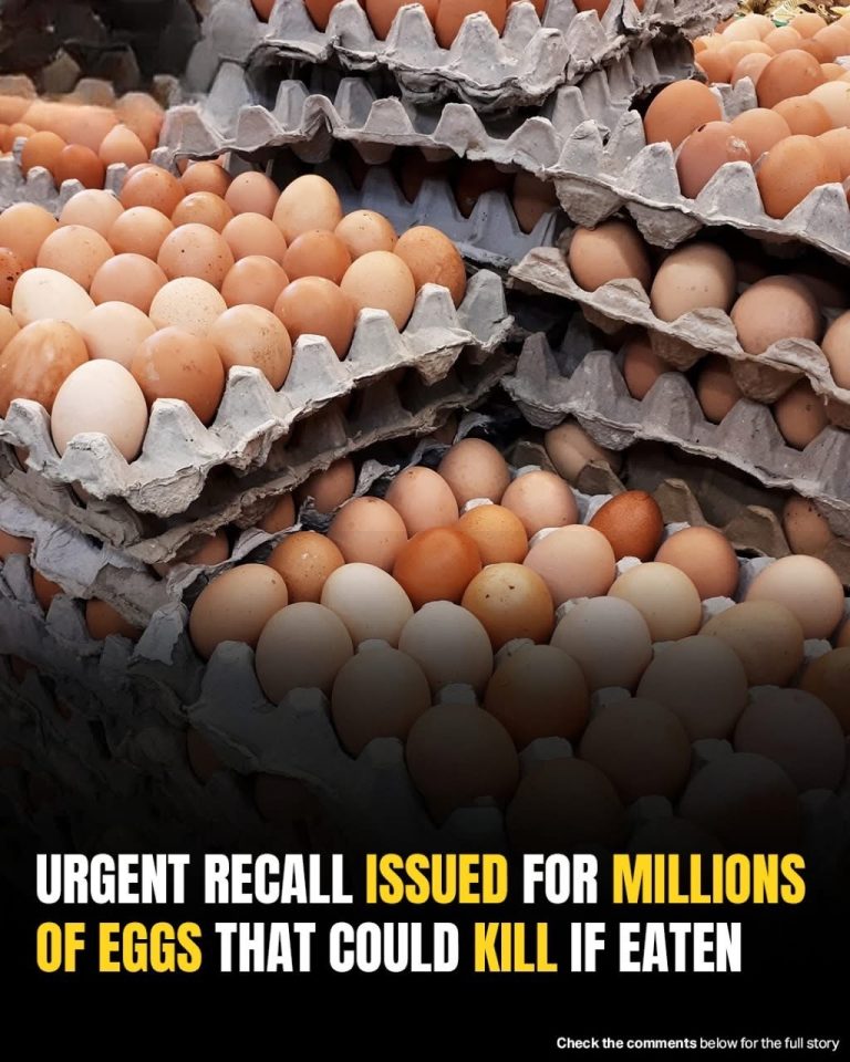 1.7 Million Dozen Eggs Recalled!