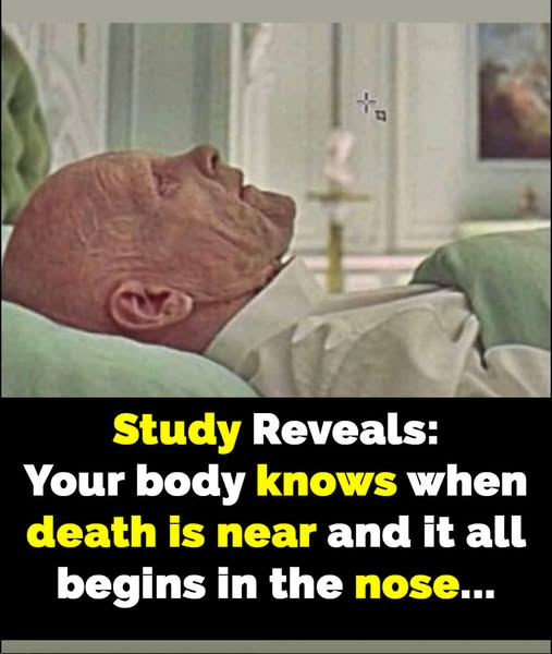 Research shows body senses death is near