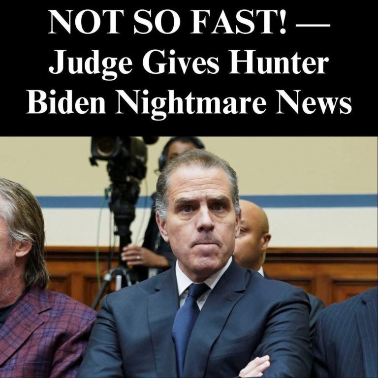 Hunter Biden Cites Financial Woes In