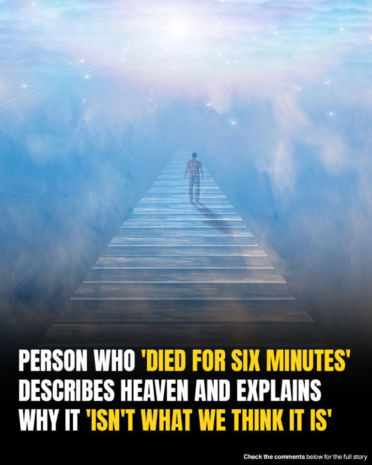 Six Minutes Beyond Life: What I Saw