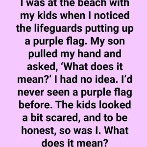 What a Purple Beach Flag Really Signifies