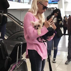 Entitled Dog Owner Made a Scene at the Airport