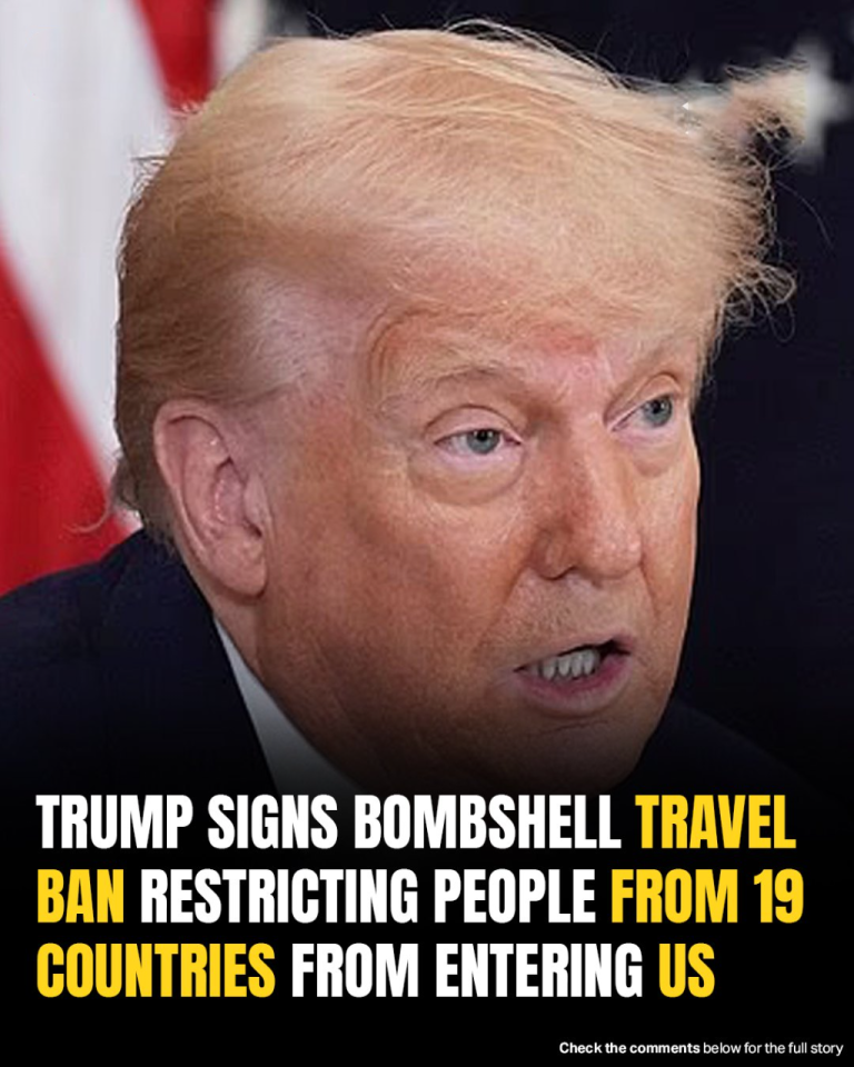 Trump Signs Sweeping Travel Ban Blocking Entry From 12