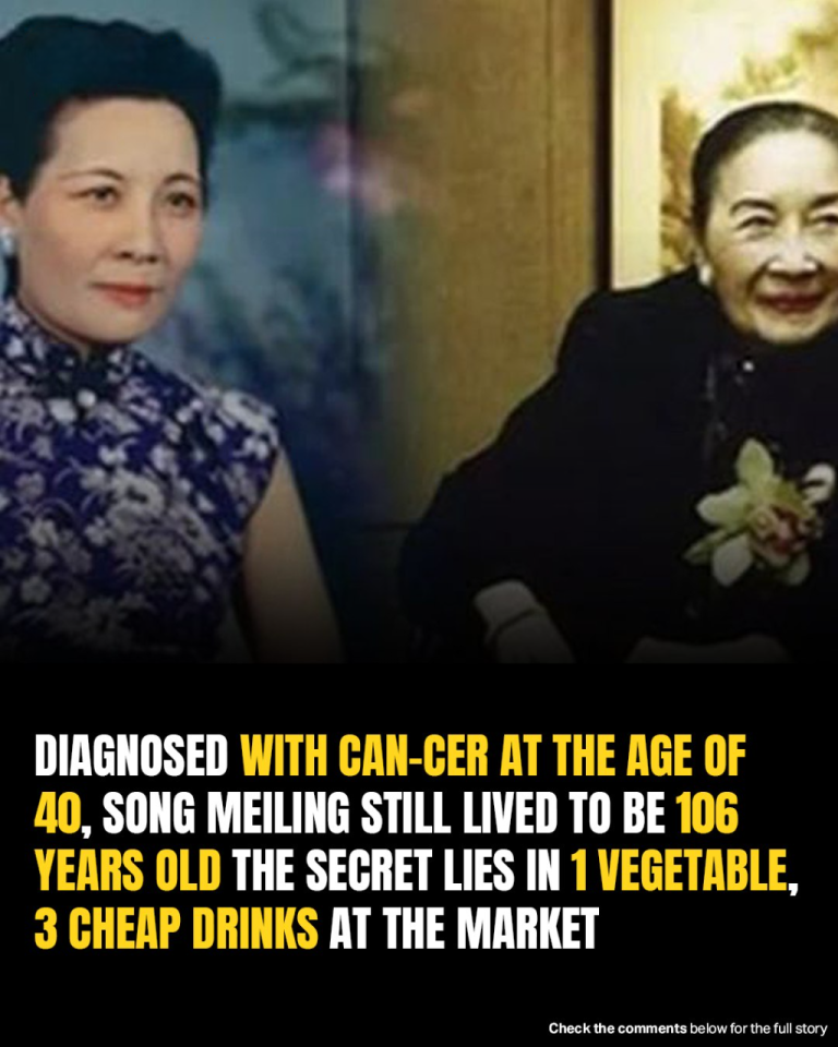 A Legacy Of Health: Soong Mei-Ling’s