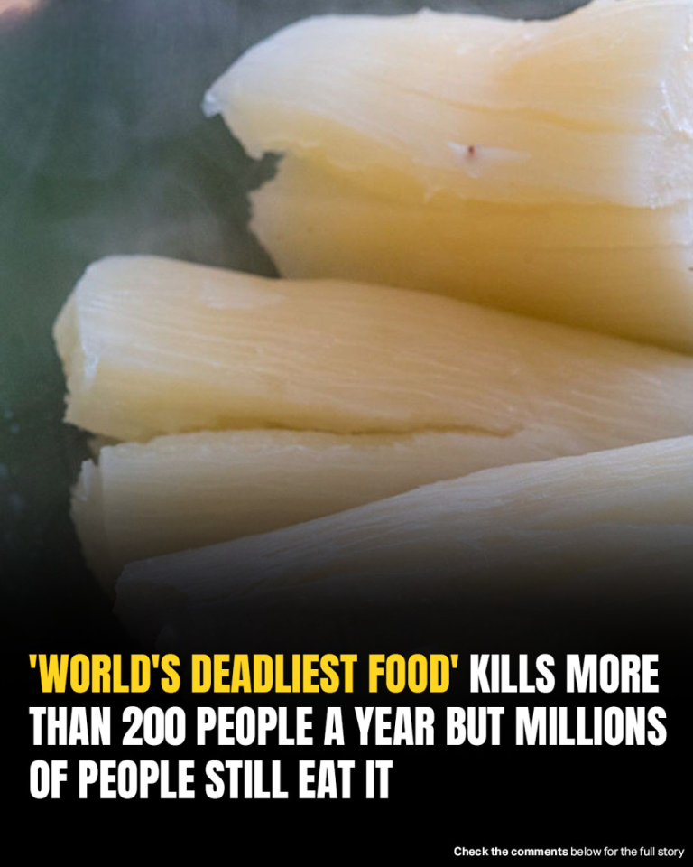 Over 200 People Are K. illed By