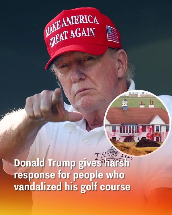 They did some serious