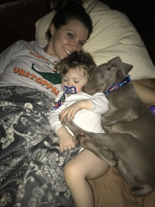 I LET OUR DOG SLEEP NEXT TO OUR TODDLER—AND