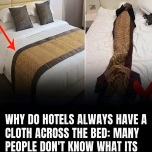 Hotel Bed Runners: More Than Just a Pretty Touch