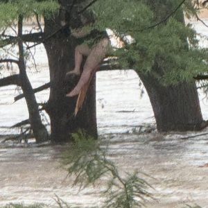 Breaking News: One of the missing camp gi