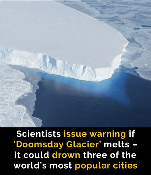 ‘Doomsday Glacier’ could swallow major cities a
