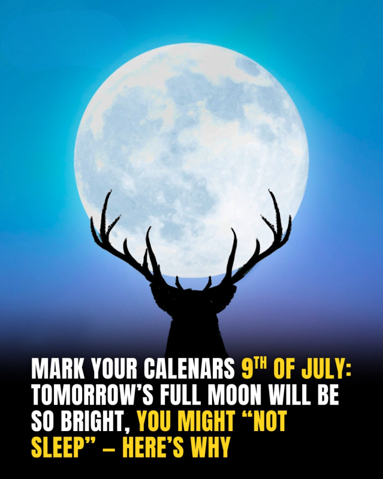 Get Ready: Buck Full Moon Is Coming