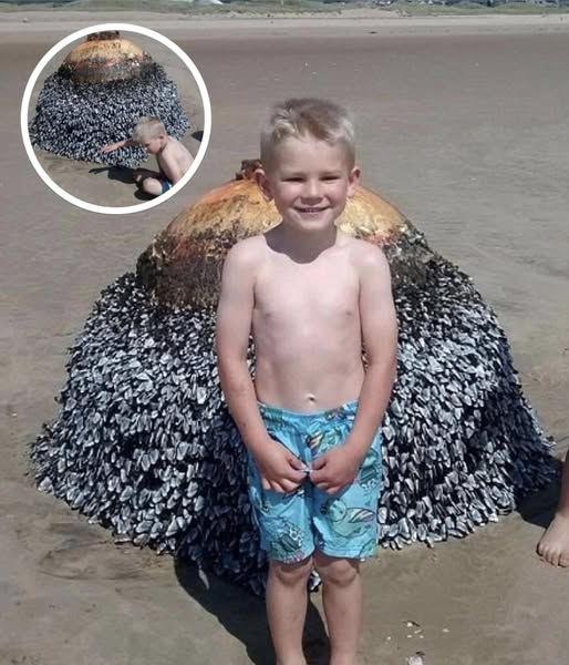 Dad Shares Innocent Photo Of His Son At Beach, Authorities