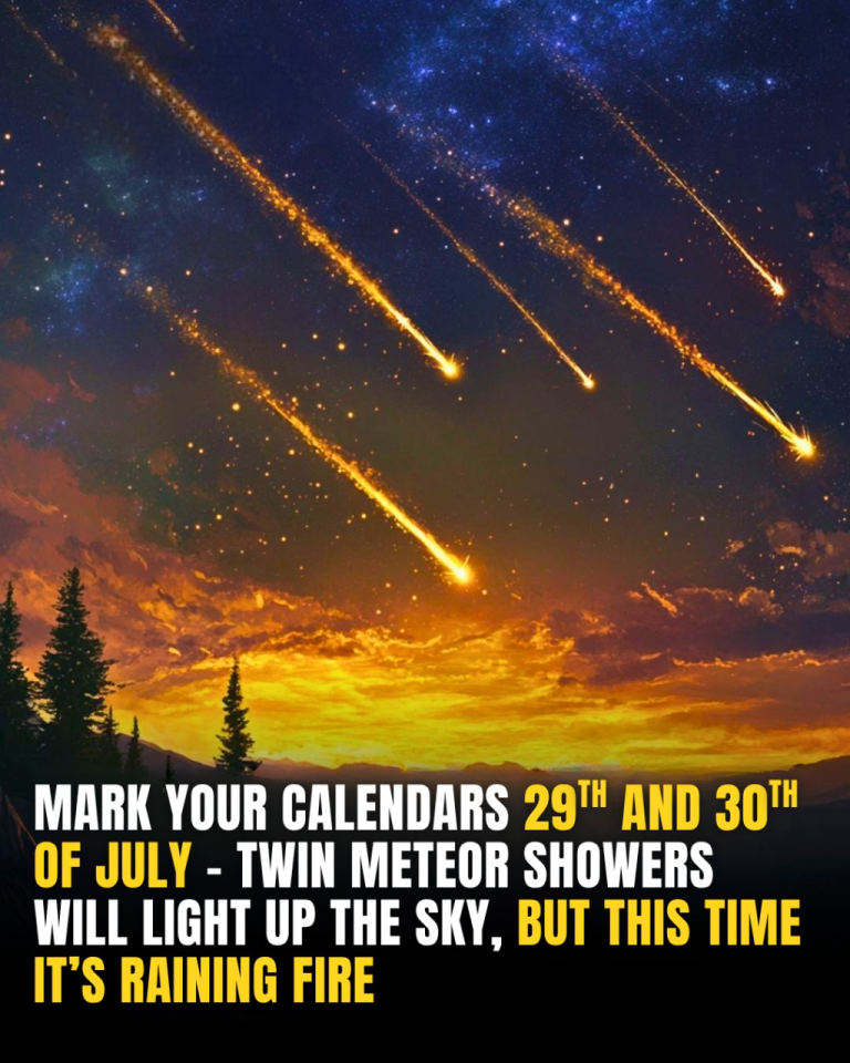 Skywatchers Delight: Dual Meteor